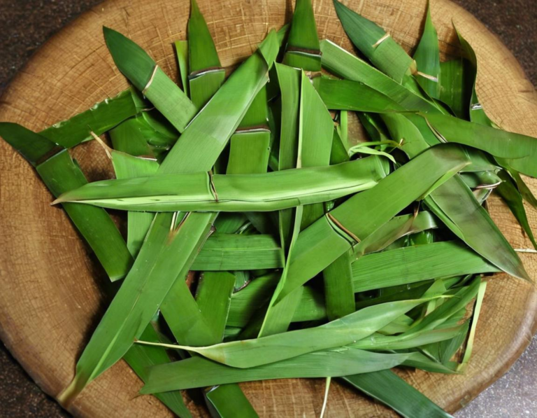 How to Prepare the Bamboo Leaves